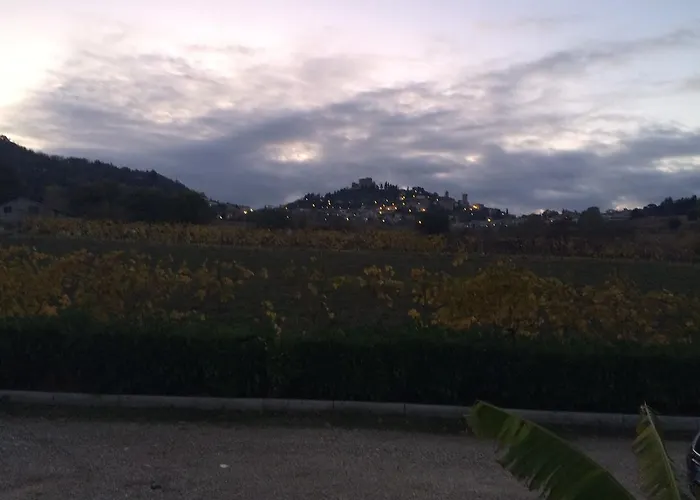 7 Colonne * Bertinoro