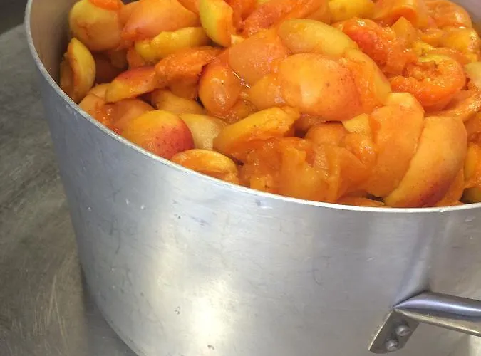 7 Colonne Farmház Bertinoro