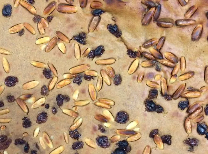 农家乐 7 Colonne *