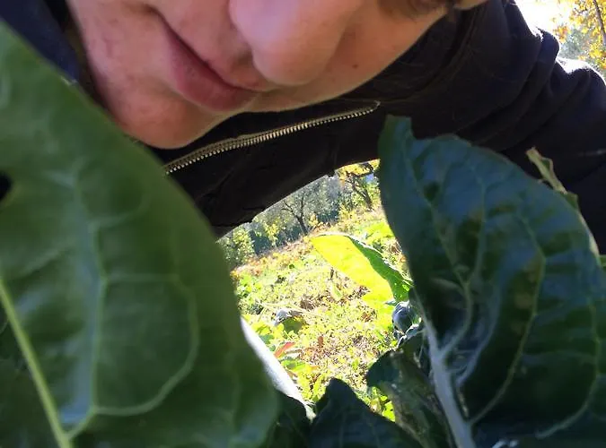 农家乐 7 Colonne 贝尔蒂诺罗