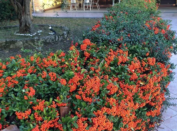 7 Colonne Alojamento de Turismo Rural *