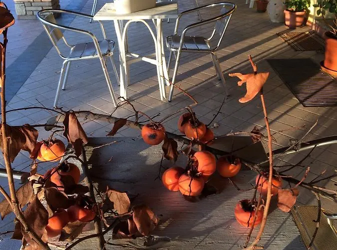 7 Colonne * 贝尔蒂诺罗