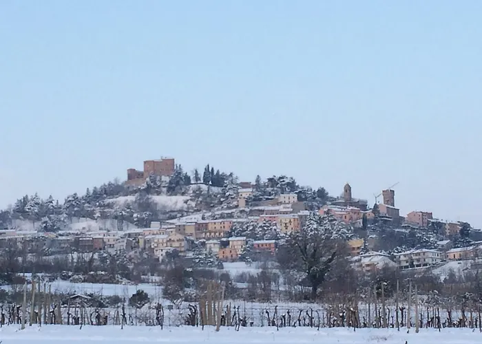 7 Colonne 农家乐 *