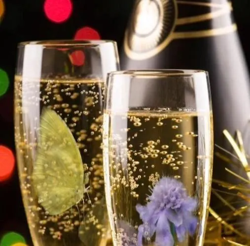 7 Colonne Alloggio per agriturismo *